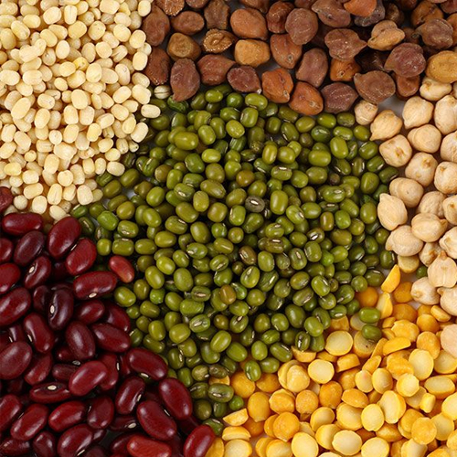 Pulses